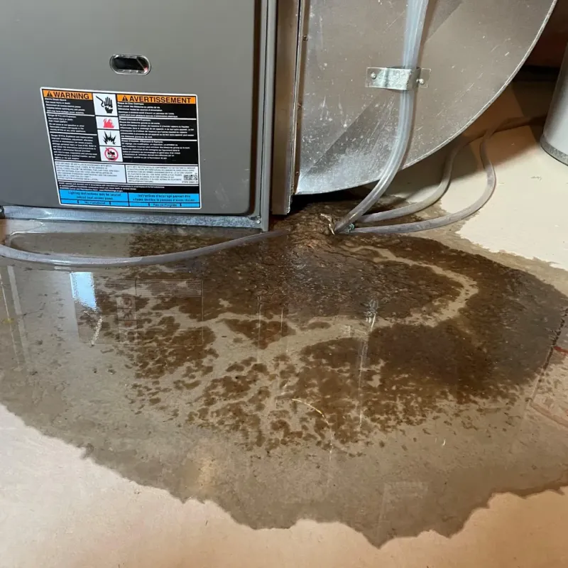 Appliance Leak Cleanup in Paden City, WV