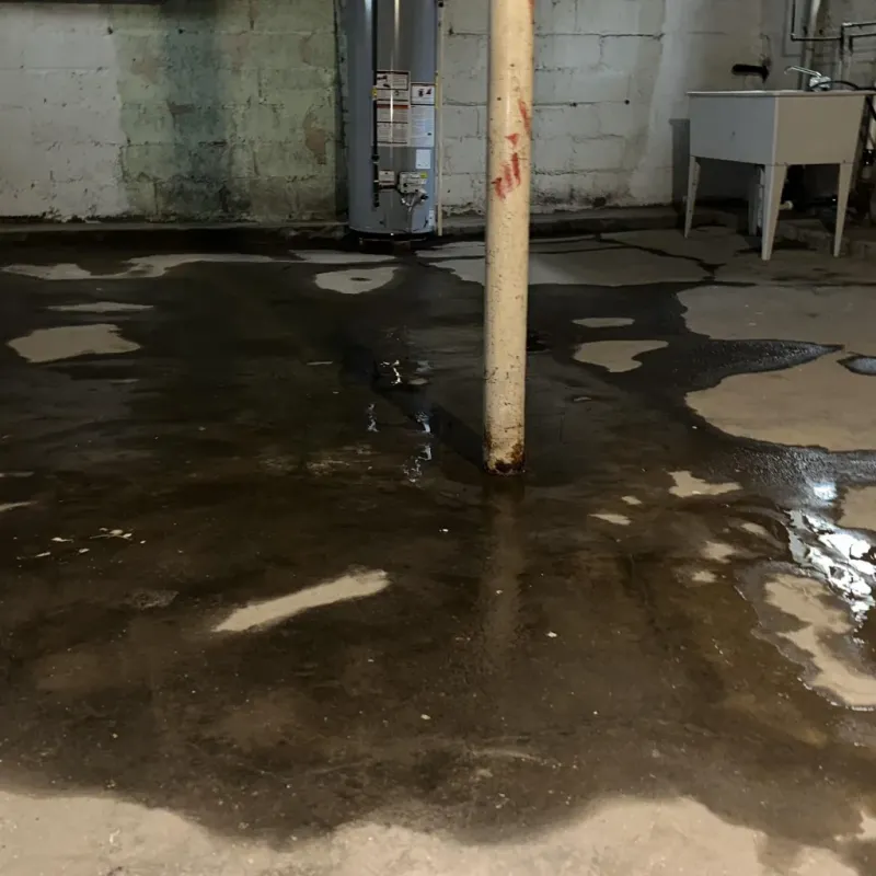Emergency Water Extraction And Removal in Paden City, WV